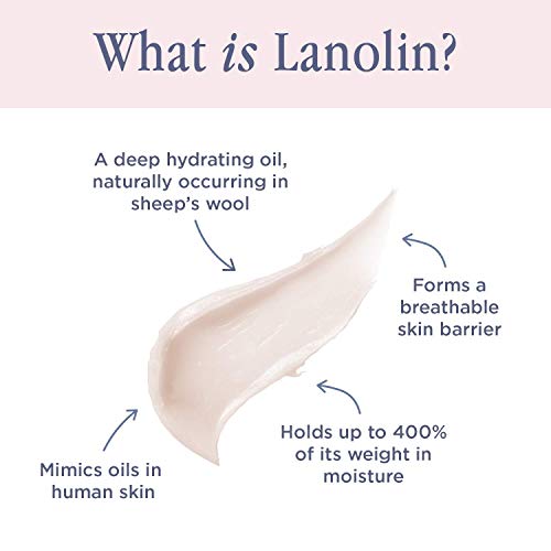 Lanolips Hand Cream Intense Rose