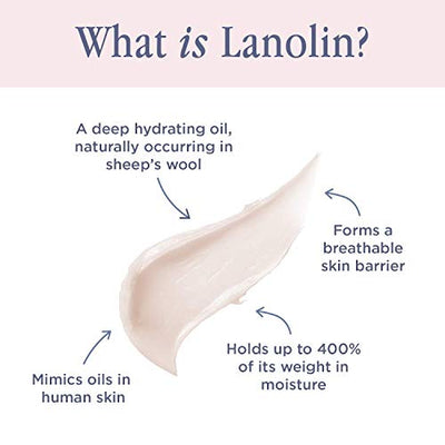 Lano Vanilla + Lanolin Hand Cream Intense